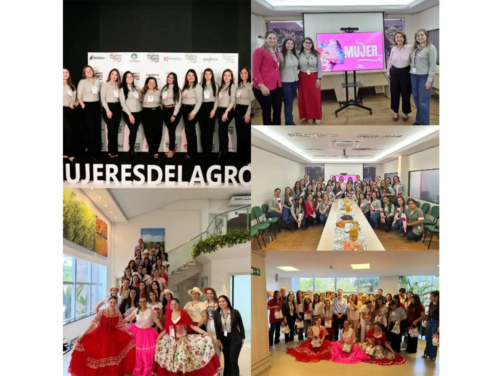 06-Agrotec