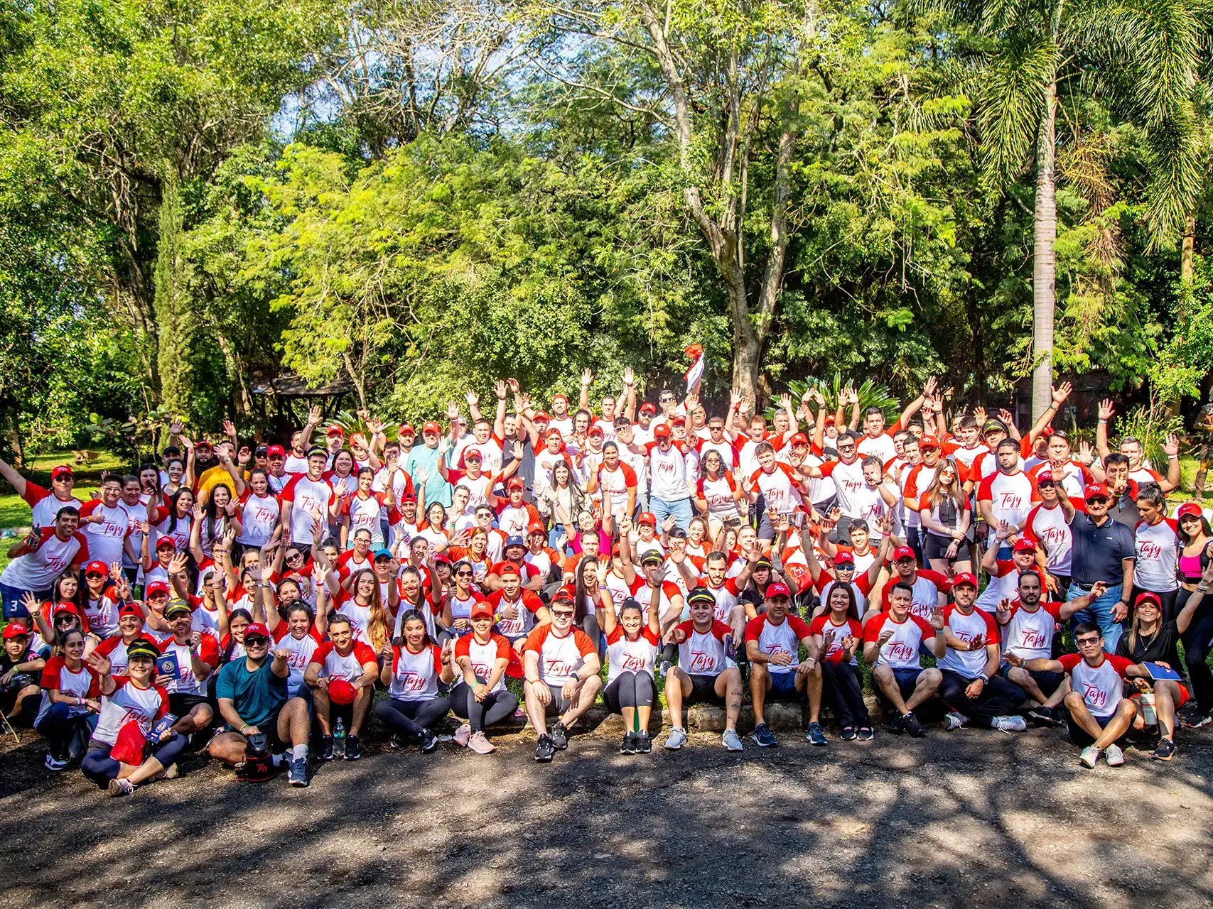 19-Aseguradora Tajy