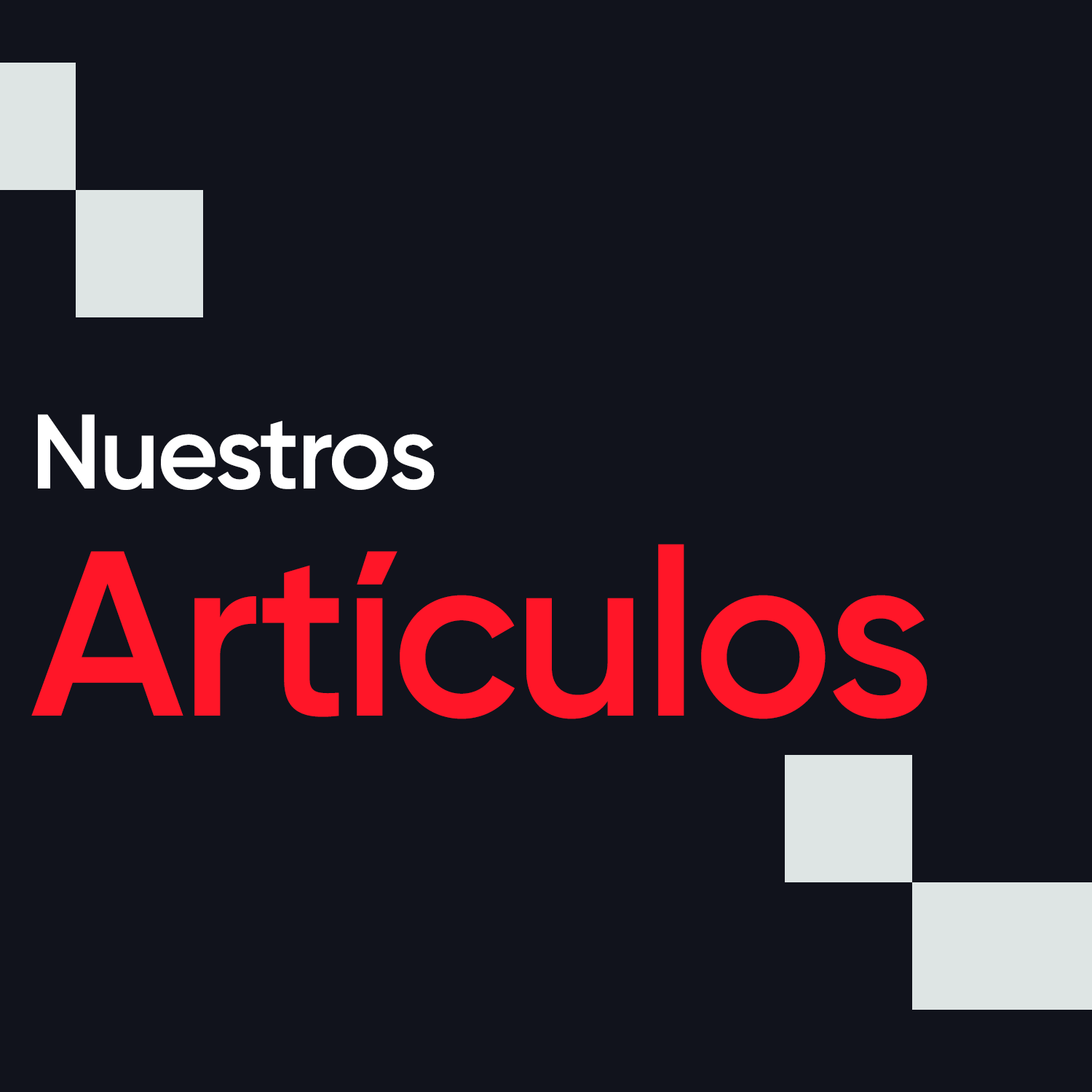 Nuestros Articulos