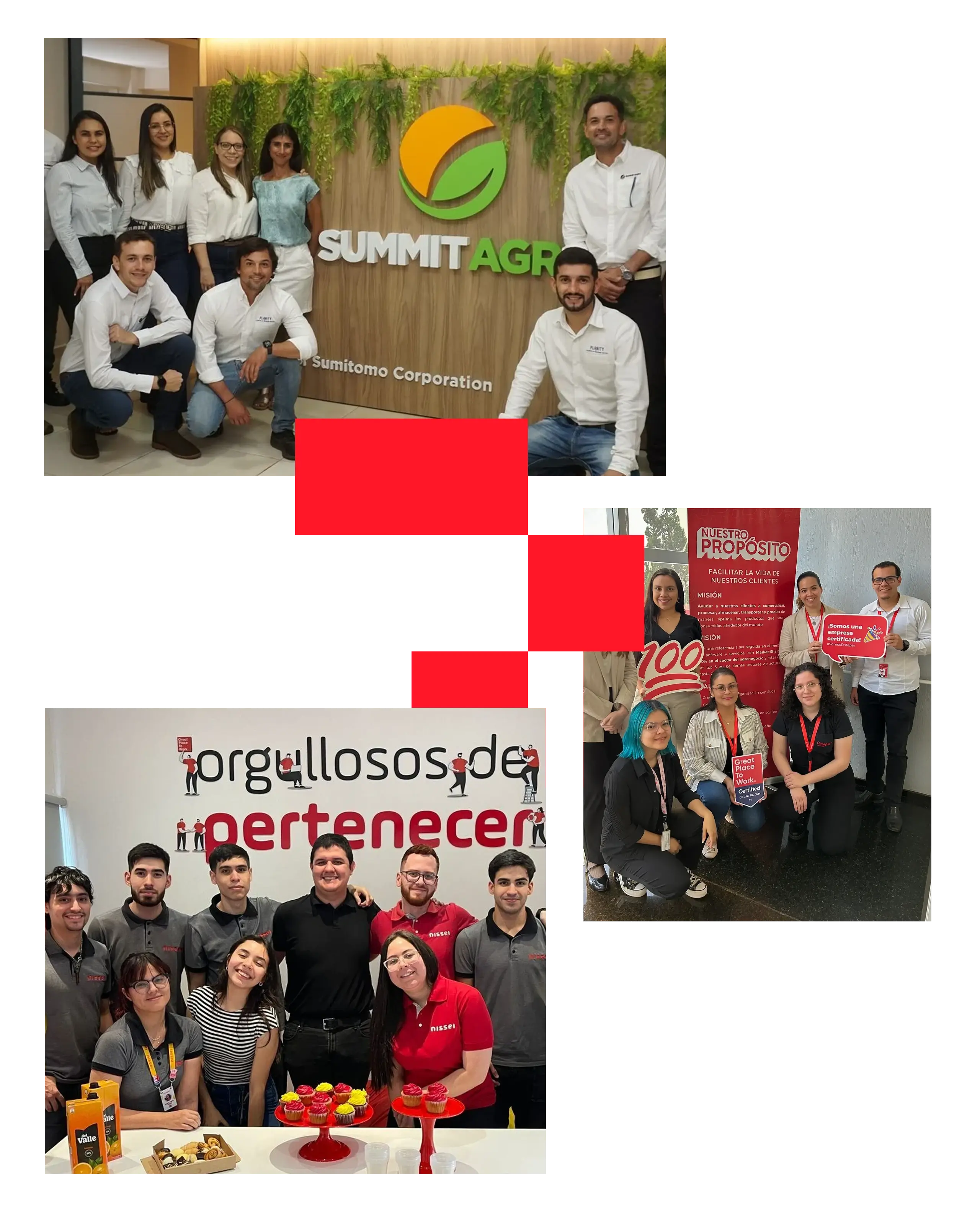 SIDE IMG copia SIDE IMG copia